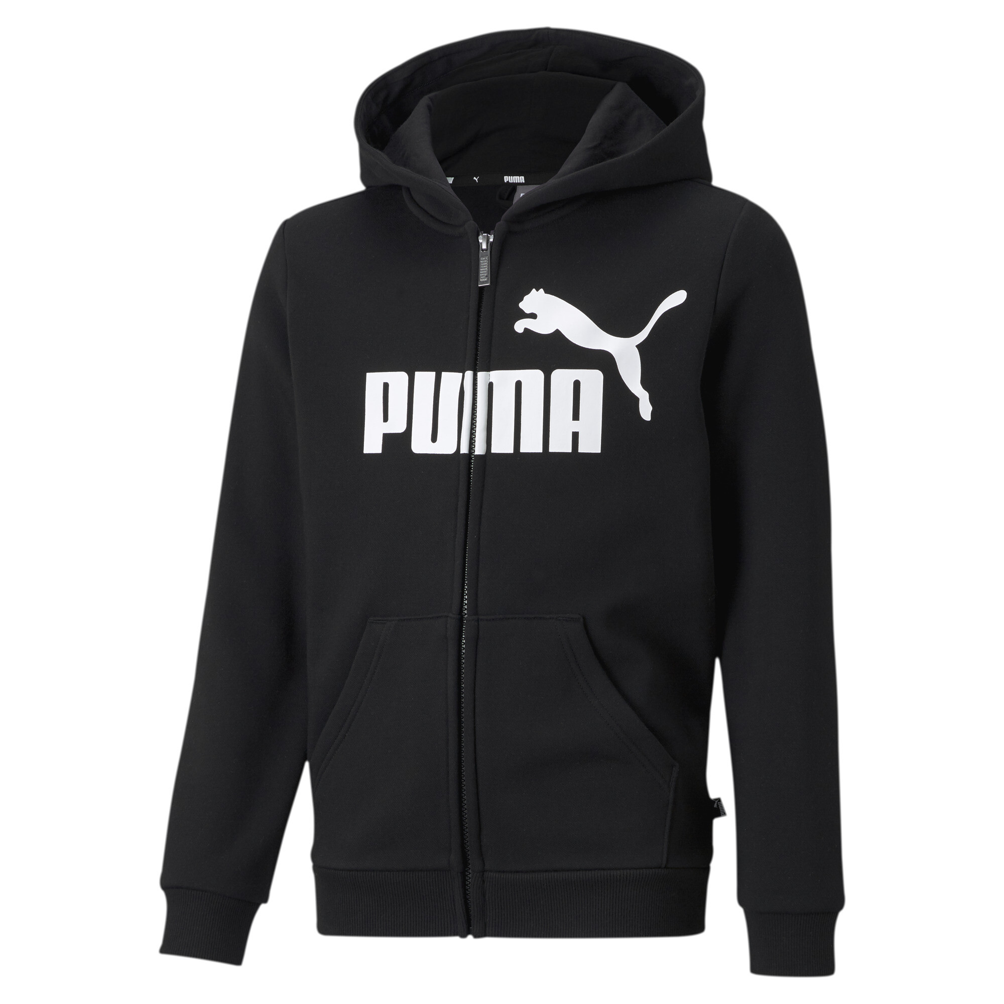 Puma Ess Big Logo Fz Hoodie Fl B in Moldova for the price of 1099